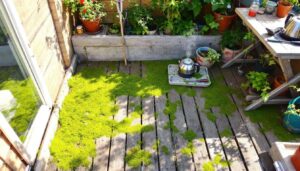 Moos auf der Terrasse: Kochendes Wasser verschlimmert das Problem oft – Gärtner warnt